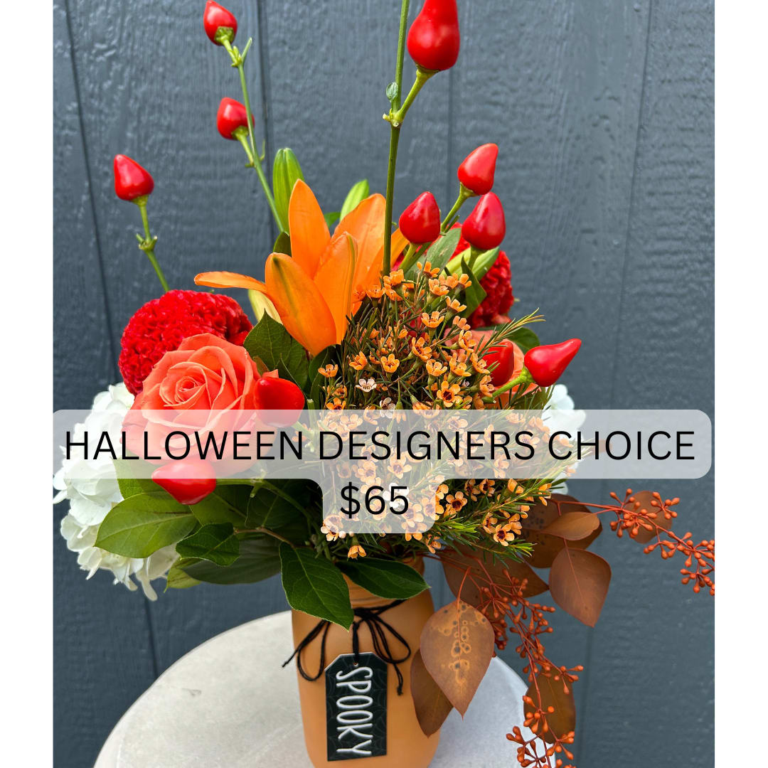 Halloween Deginers Choice
