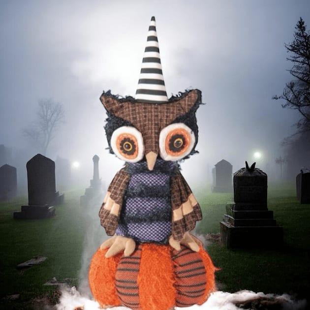 Ollie The Owl On A Pumpkin