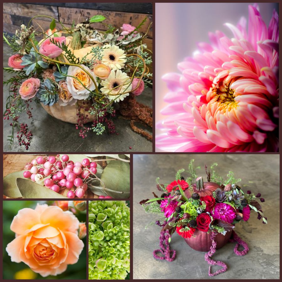 Lush Harvest - Autumn Flowers