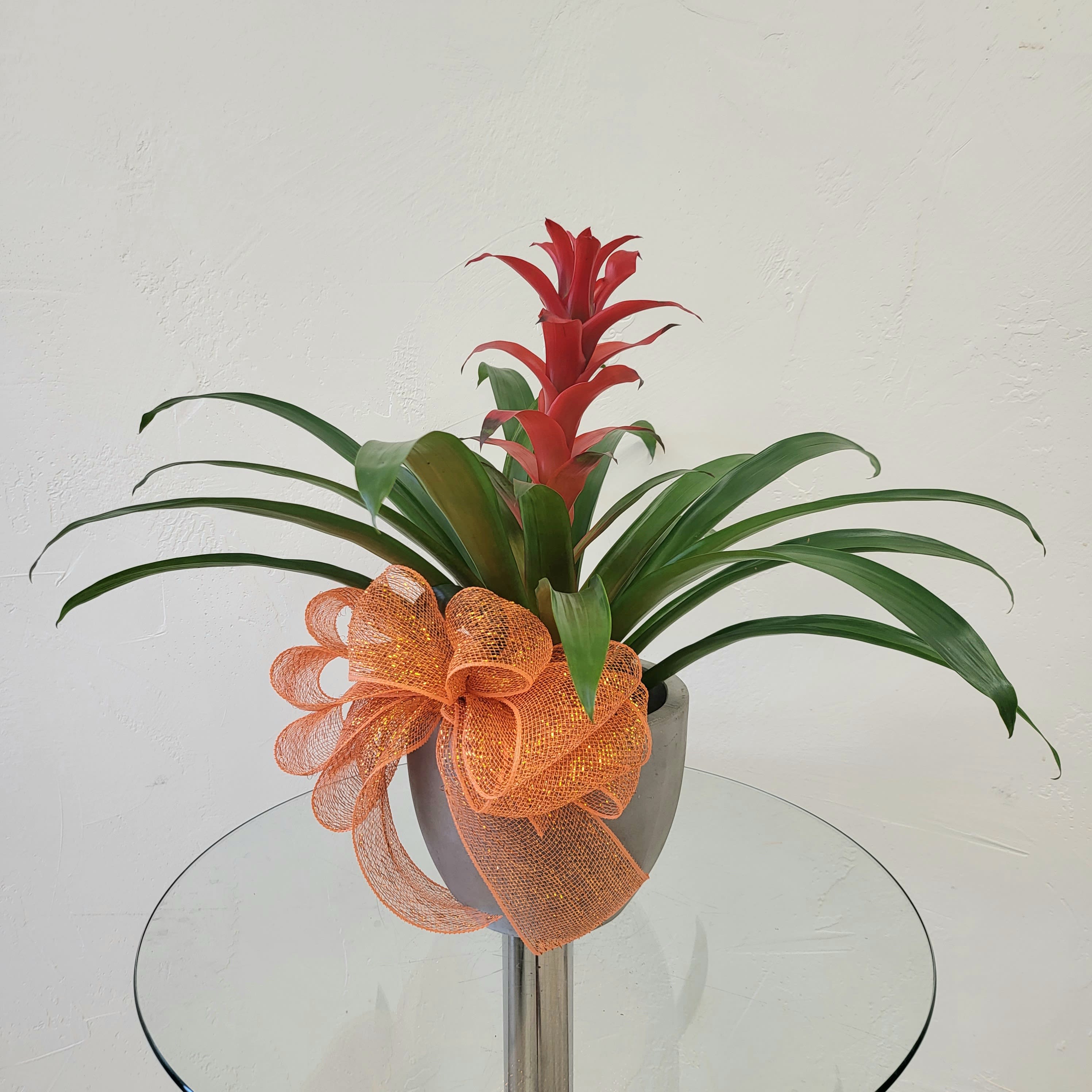 Potted Bromeliad Flower Bouquet