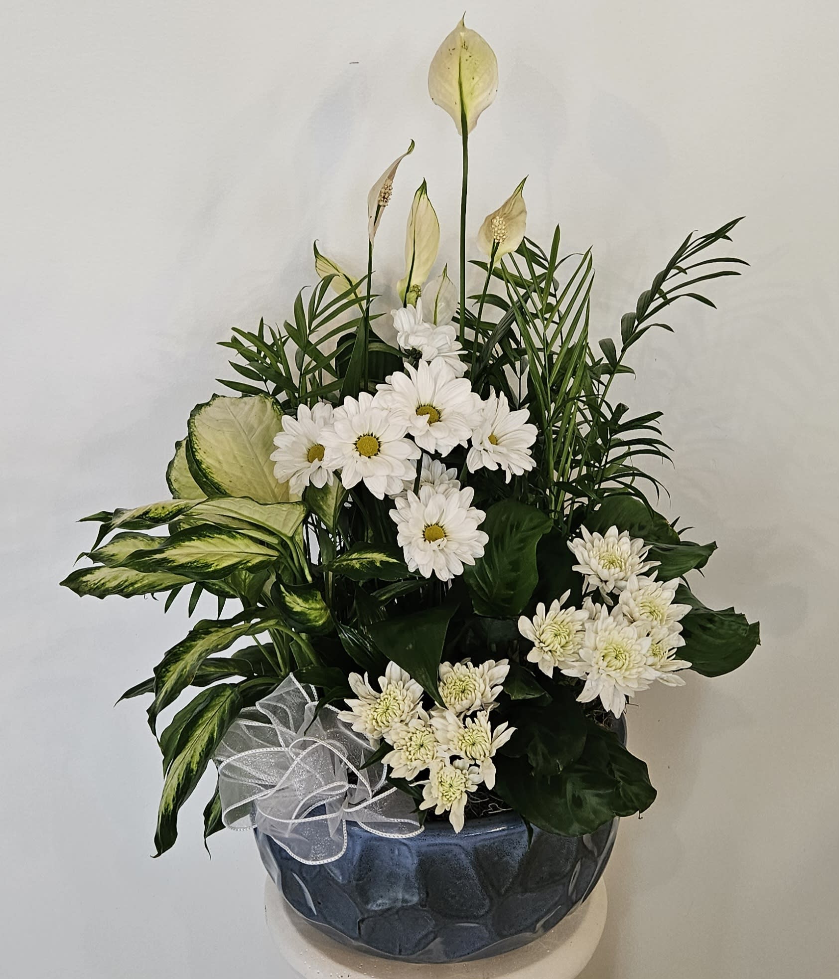 12" Ceramic Dishgarden