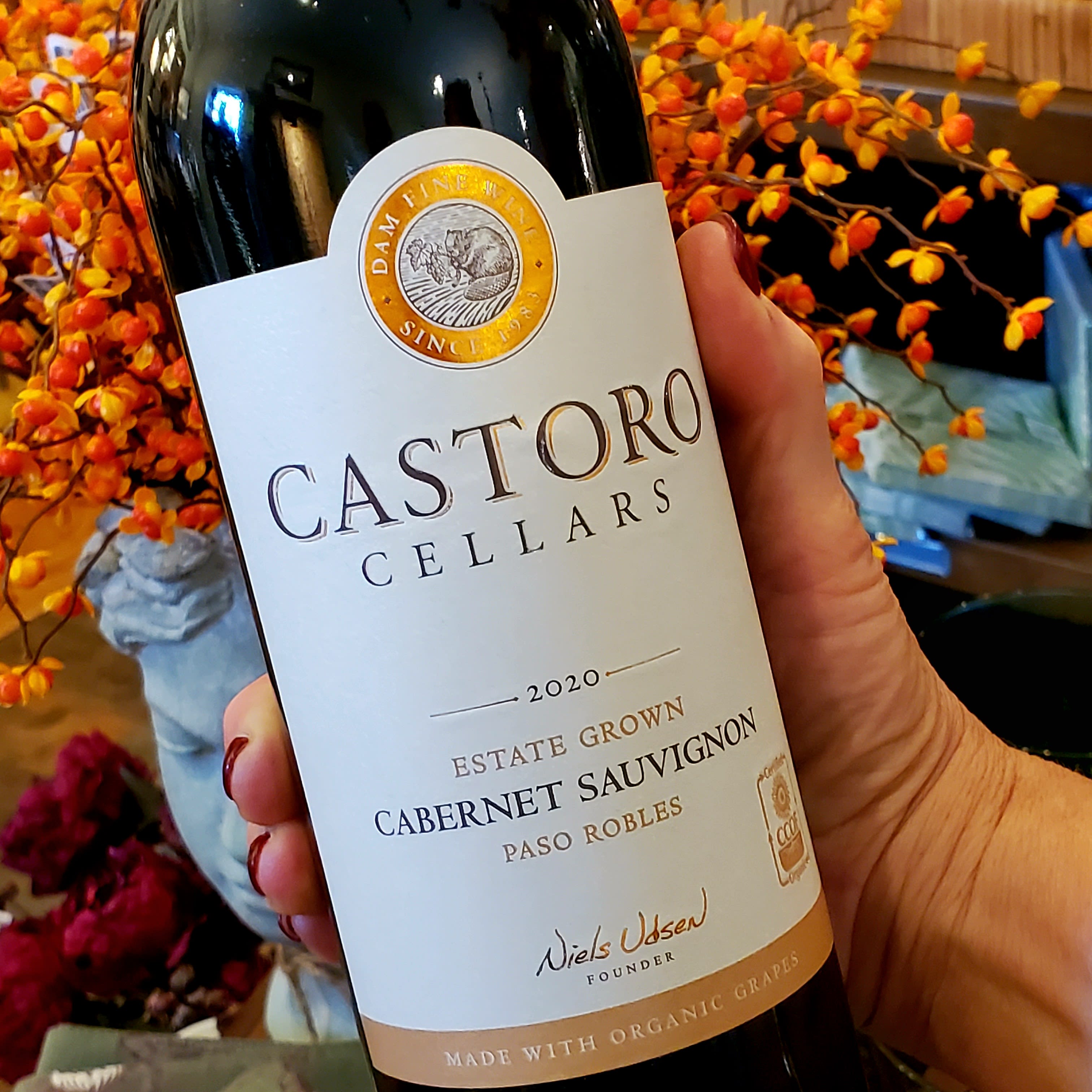 Castoro Cellars Cabernet Sauvignon
