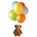 Helium Balloon bouquet with Plush Bear