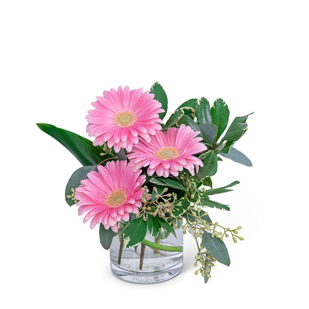 Gerbera Simplicity Flower Bouquet