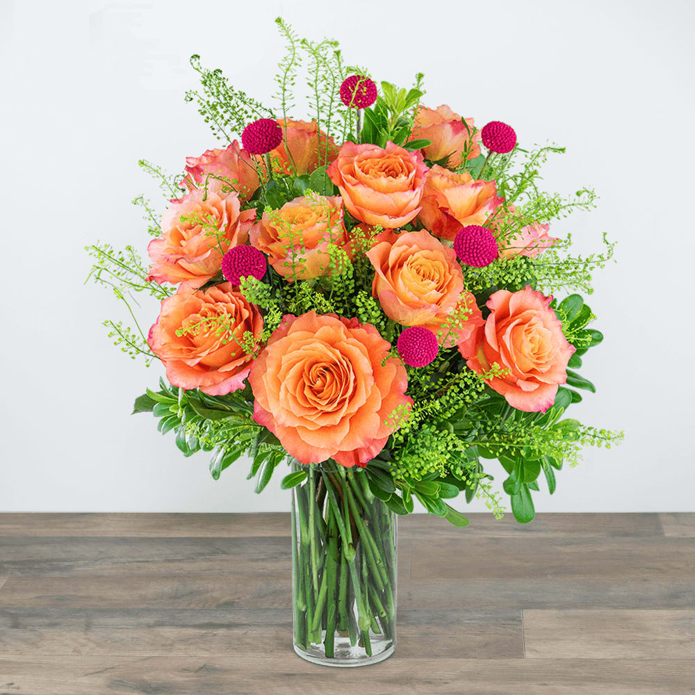 One Dozen Wild and Free Spirit Roses Flower Bouquet