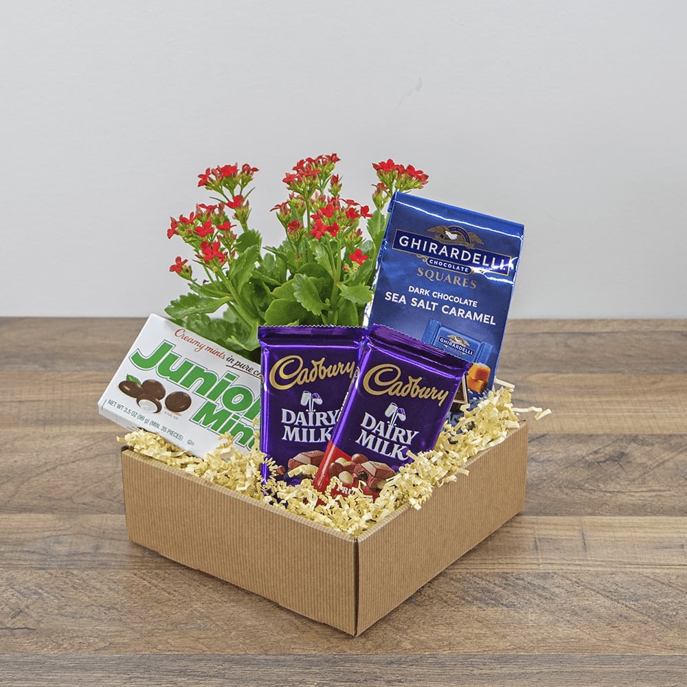 Boy Meets World Basket