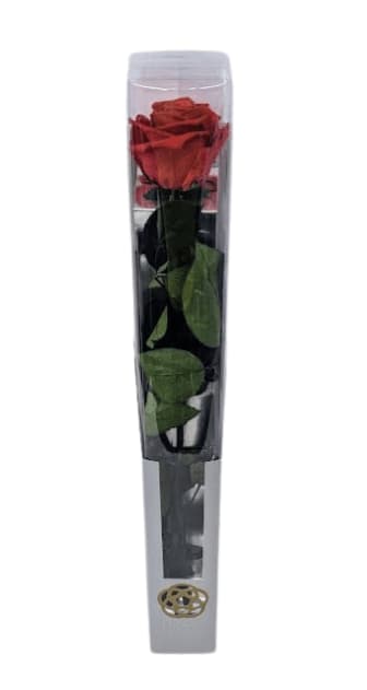 Preserved Long Stem Red Rose