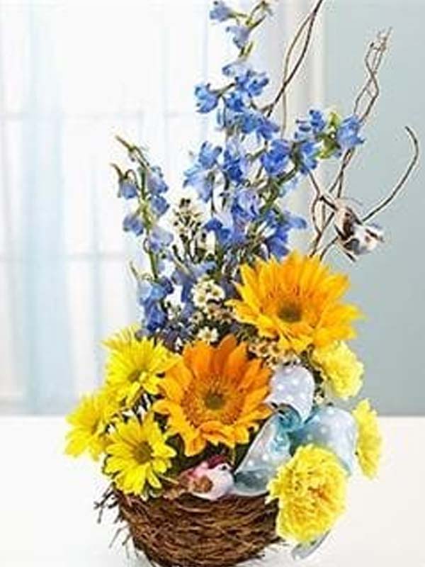 Welcome to the World – Blue