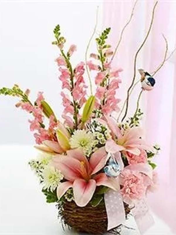 Welcome to the World – Pink