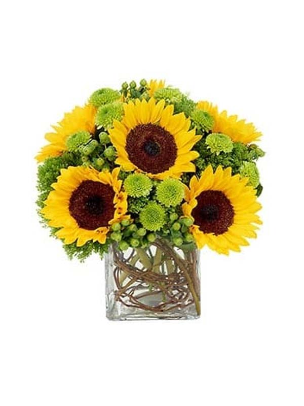 Sunny Surprise Bouquet