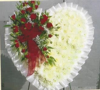 Sympathy Broken Heart