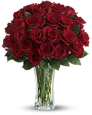 Love & Devotion Long Stem Roses