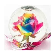 Rainbow Rose Globe Flower Bouquet
