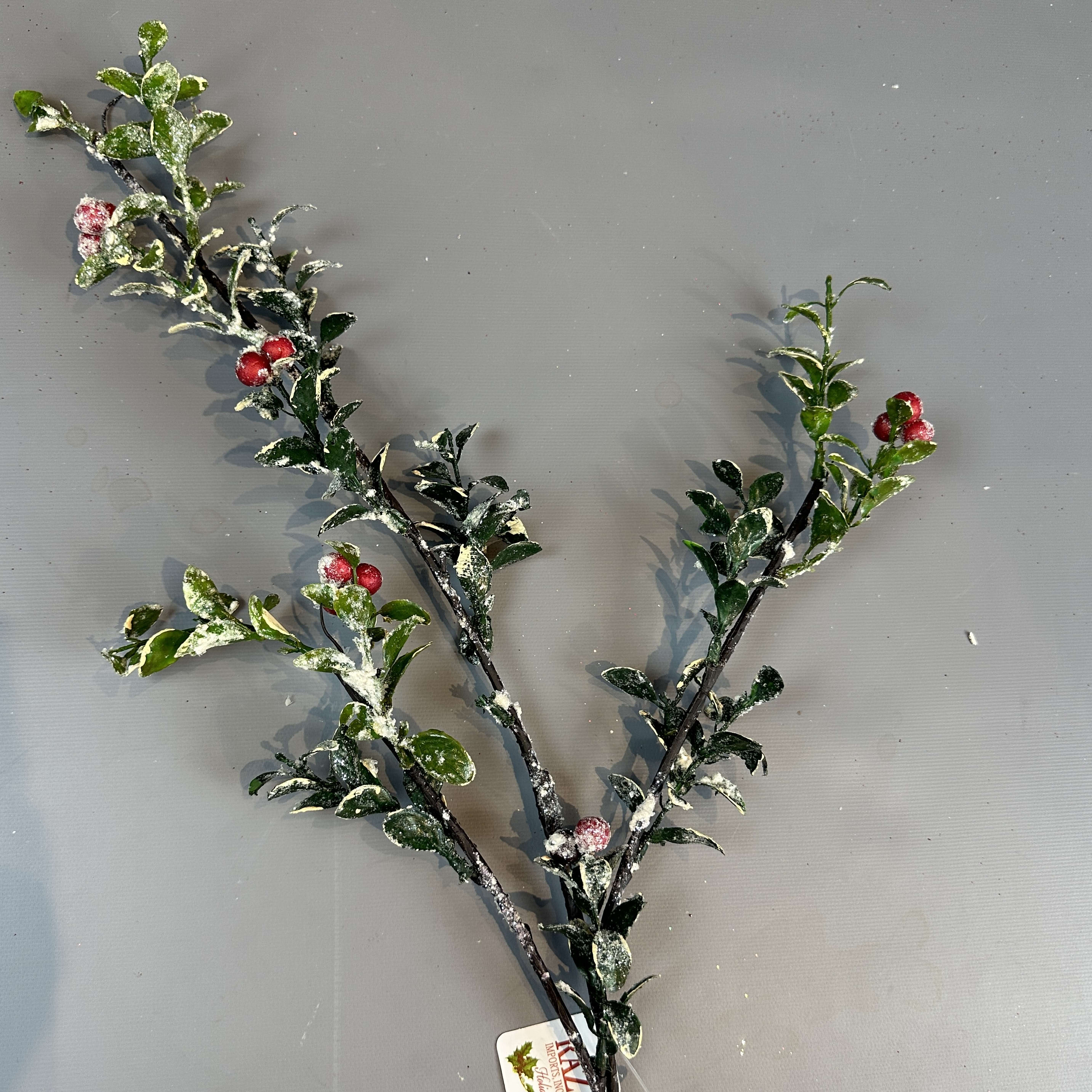 DARK GREEN STEM WITH RED BERRIES AND FROSTED LEAVES