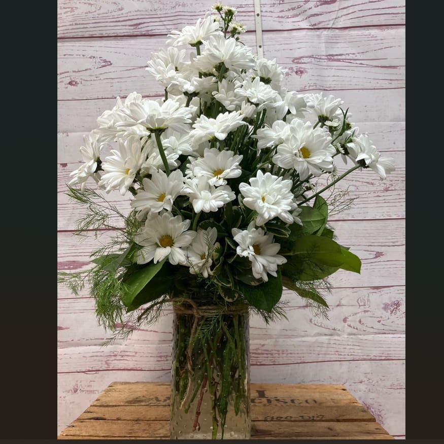 Daisy Daze White Daisy Vase Flower Bouquet