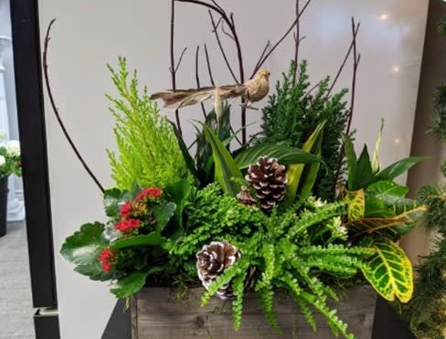 Winter bird planter