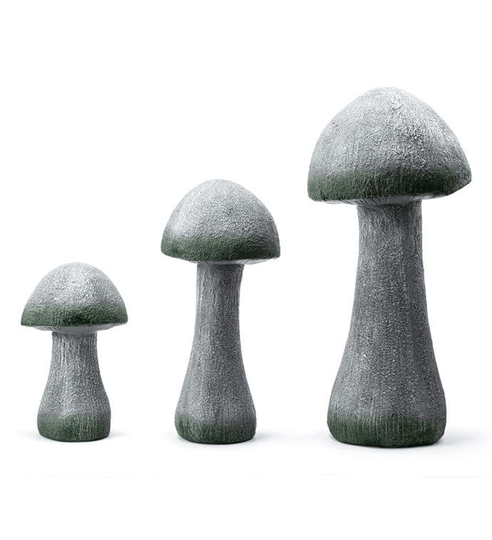 Gray Mushrooms
