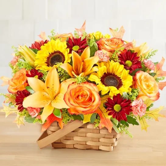 Fields of Europe for Fall Basket