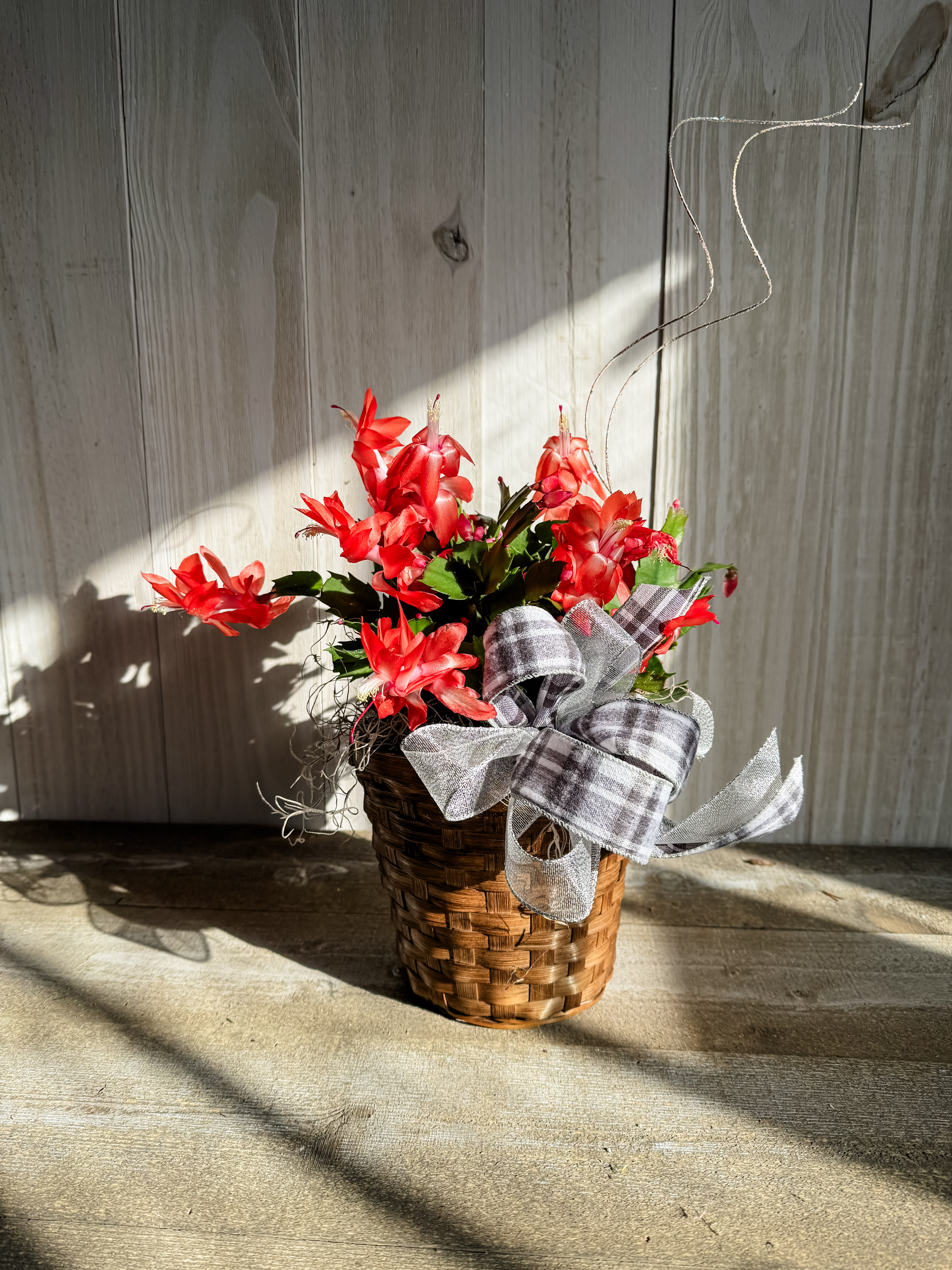 Christmas Cactus Flower Bouquet