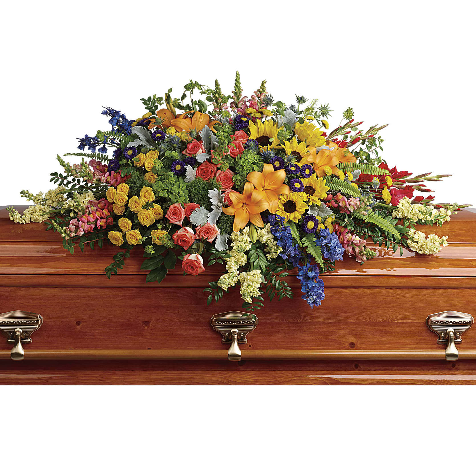 Teleflora's Colourful Reflections Casket Spray