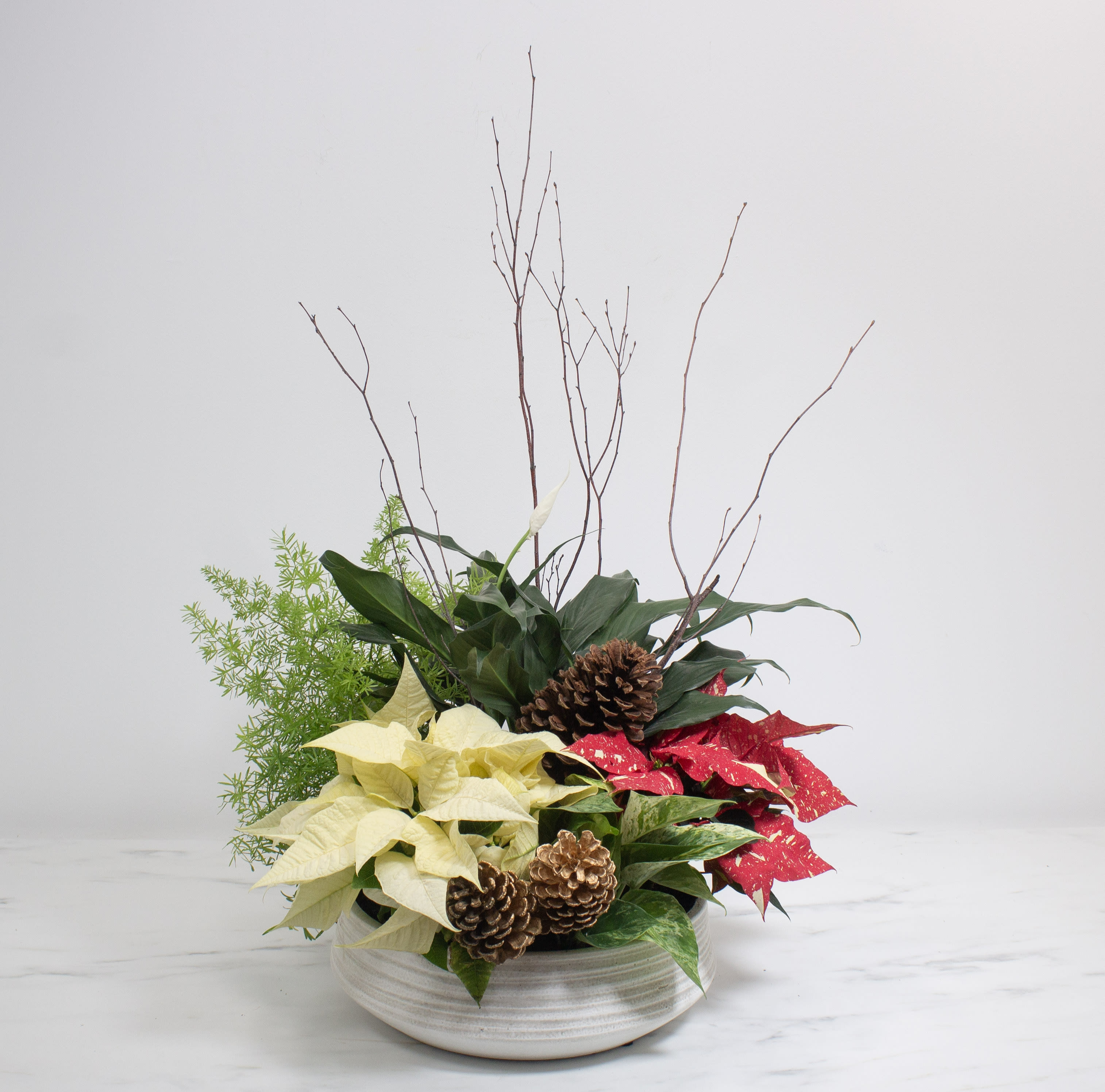 Premium Holiday Dish Garden