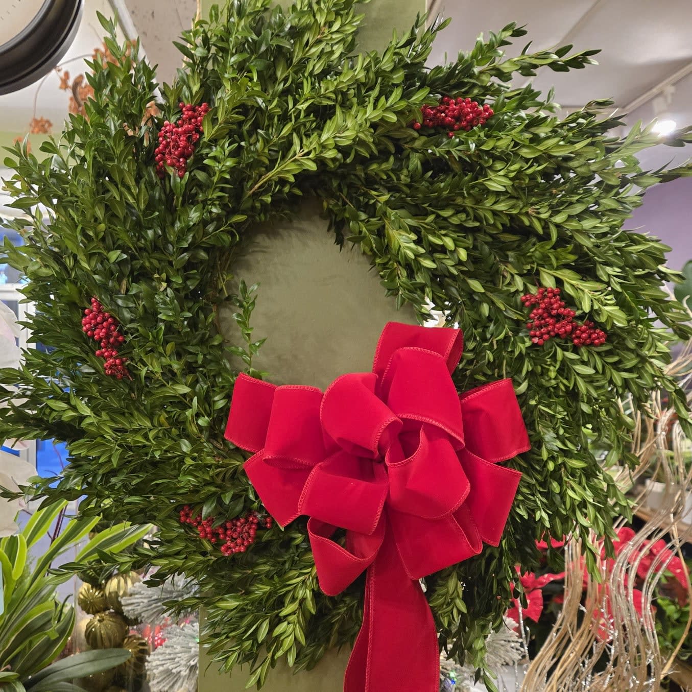 24" Boxwood Wreath
