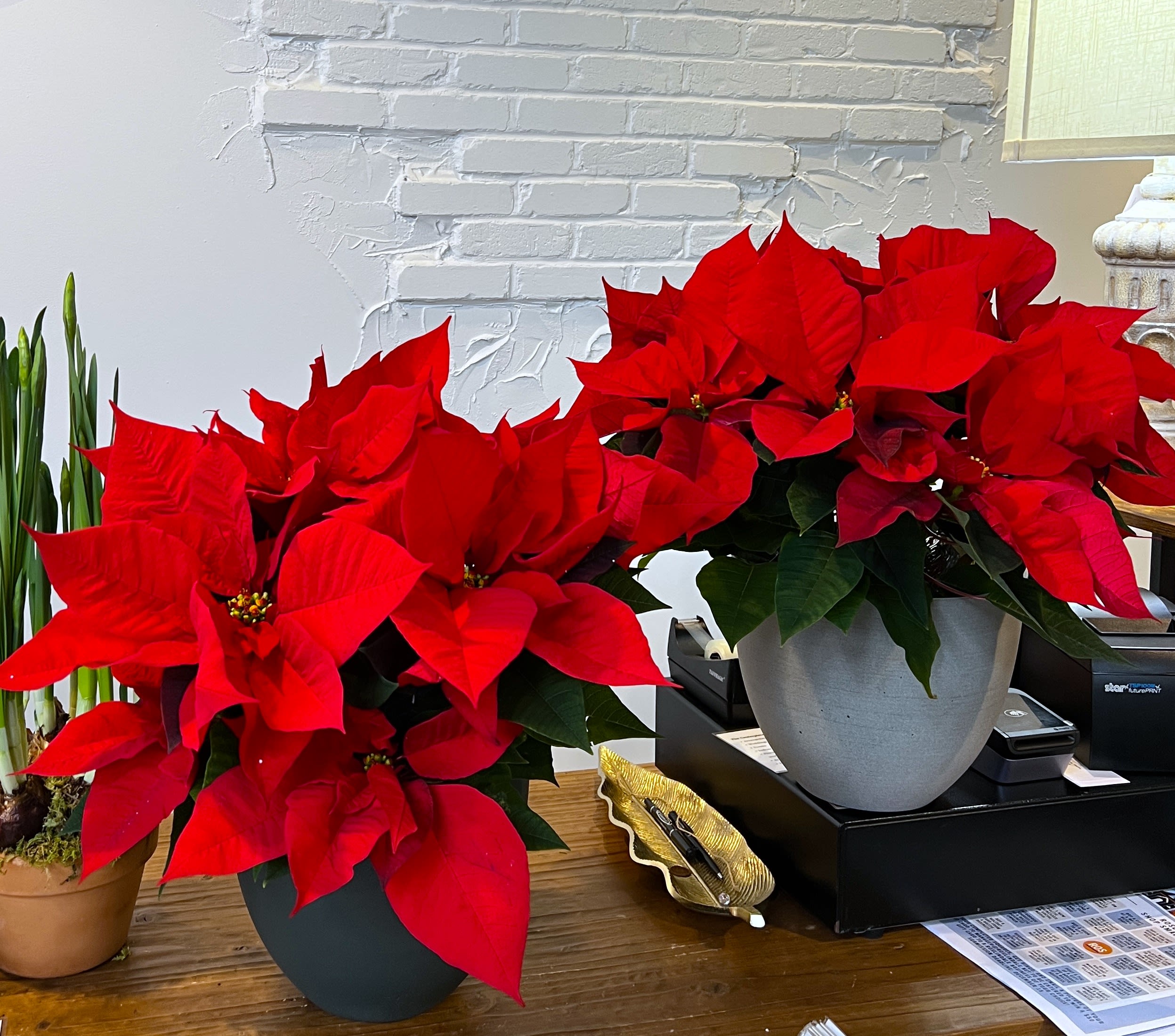 Red Poinsettia Flower Bouquet