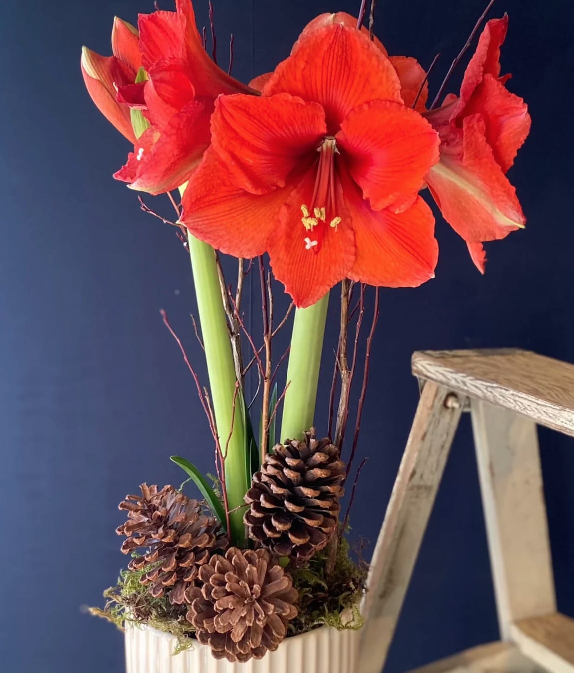 AMARYLLIS Flower Bouquet