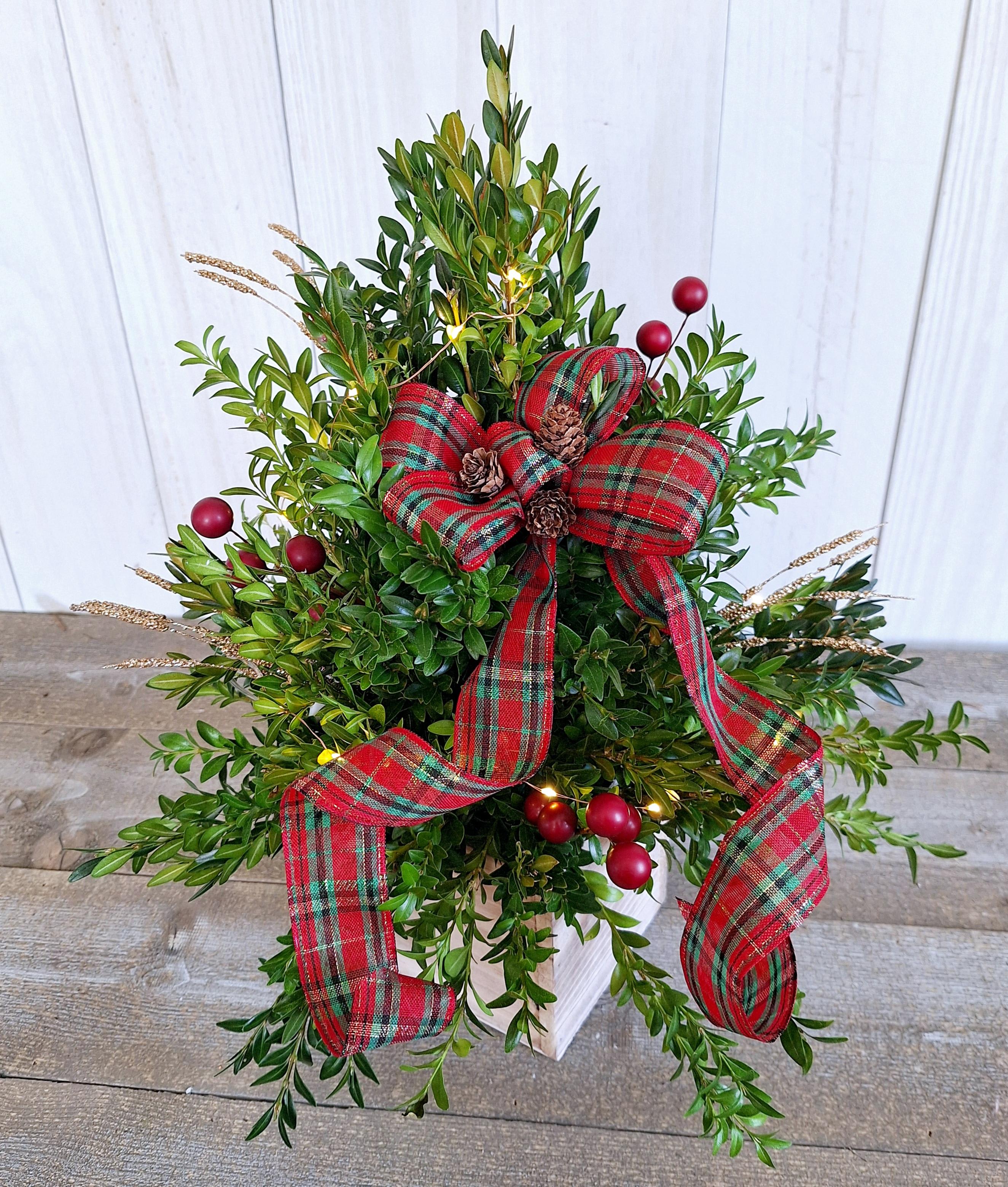 The Dahlia Christmas Boxwood Tree