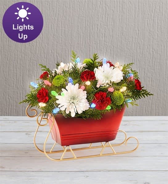 Dashing Through the Snow™ Sleigh