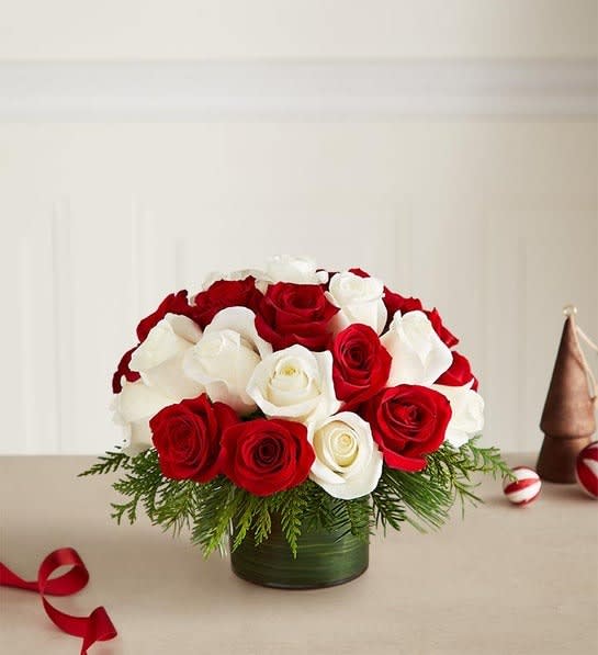 Candy Cane Swirl™ Roses
