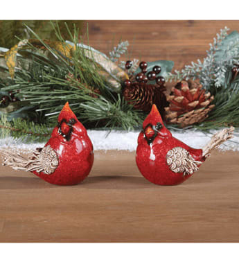 Medium Natural Wing Cardinal