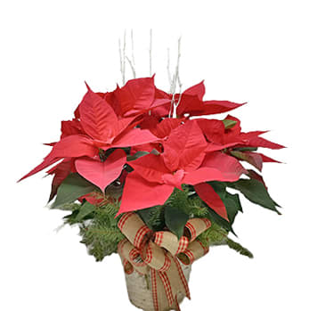 8" Red Poinsettia Flower Bouquet