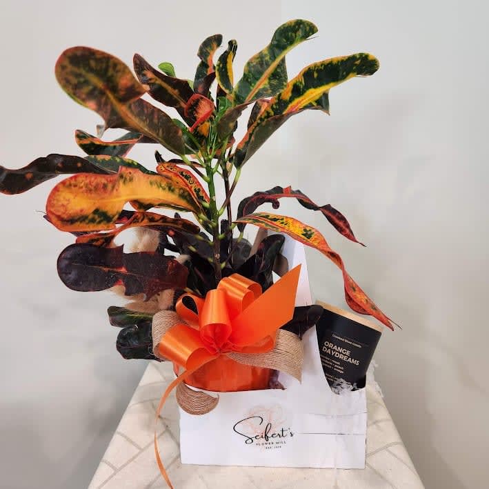 Orange You Glad You Met Me Gift Arrangement Flower Bouquet