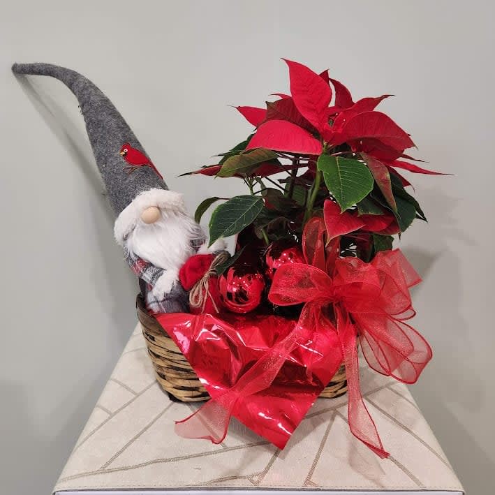 Gnome Poinsettia Basket Flower Bouquet