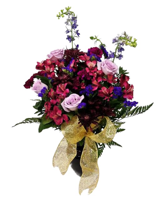 Taylor Swift "Speak Now Era" V-1432