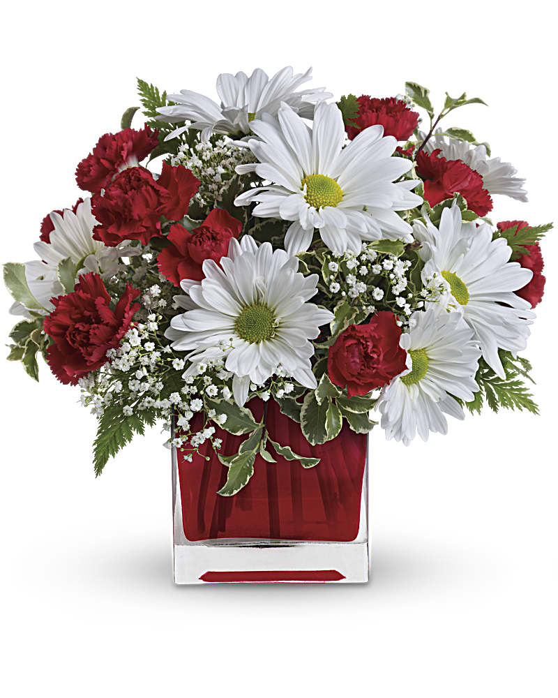 Red And White Delight by Teleflora