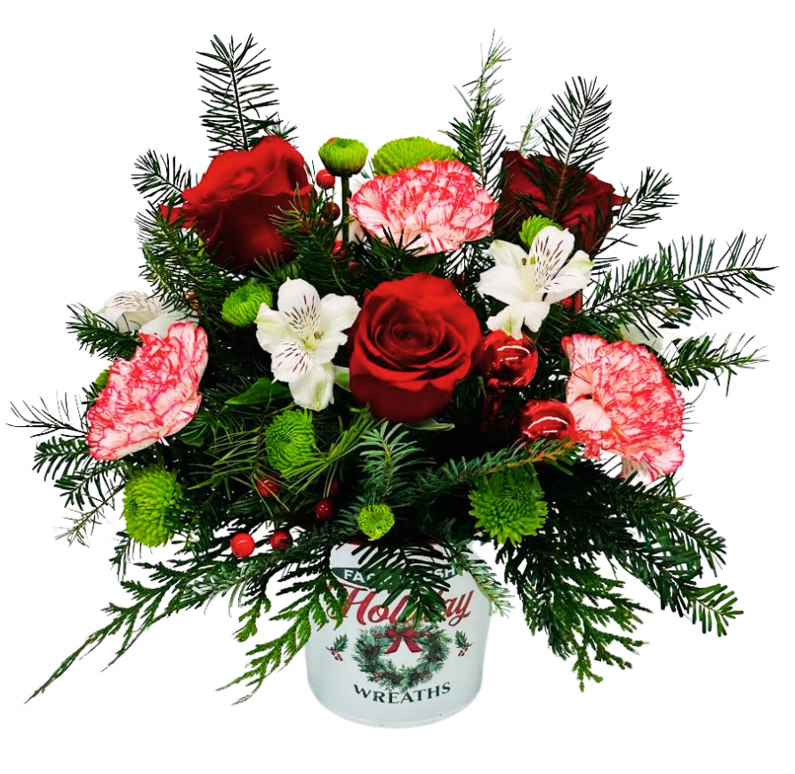 Evergreen Wonderland H-7116