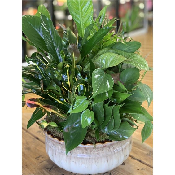 10" Ceramic Dish Garden Flower Bouquet