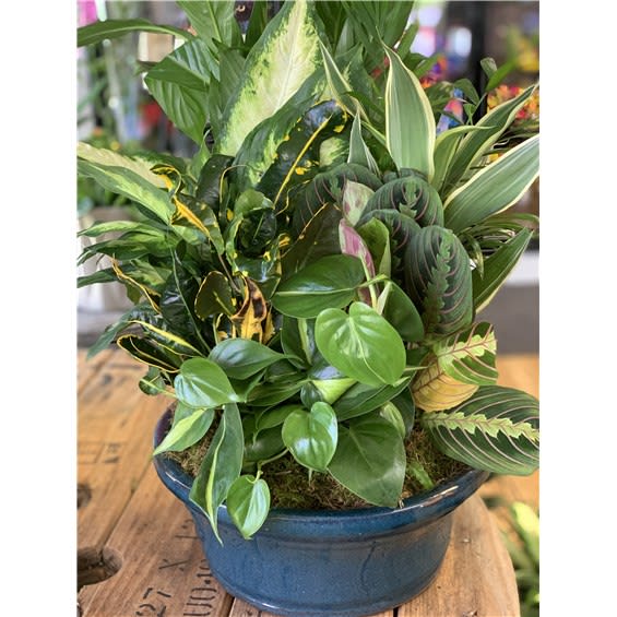 12" Ceramic Dish Garden Flower Bouquet