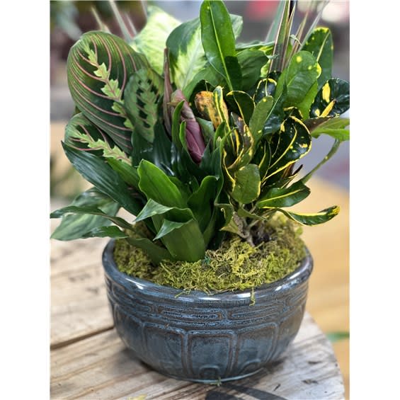 8" Ceramic Dish Garden Flower Bouquet