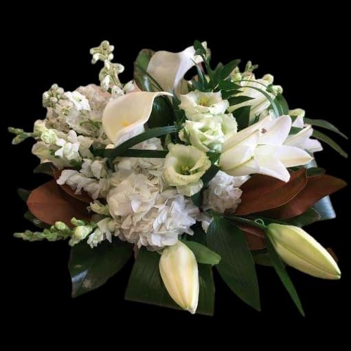 Classic White Garden Mix Daylily