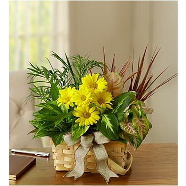 Dish Garden With Fresh Cut Flowers