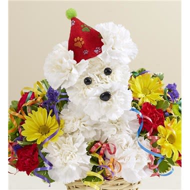 Another Year Rover™