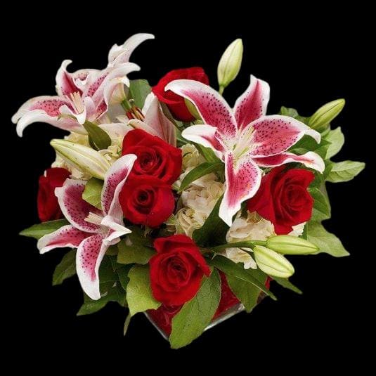 Daylily's Stargazer and Rose Design