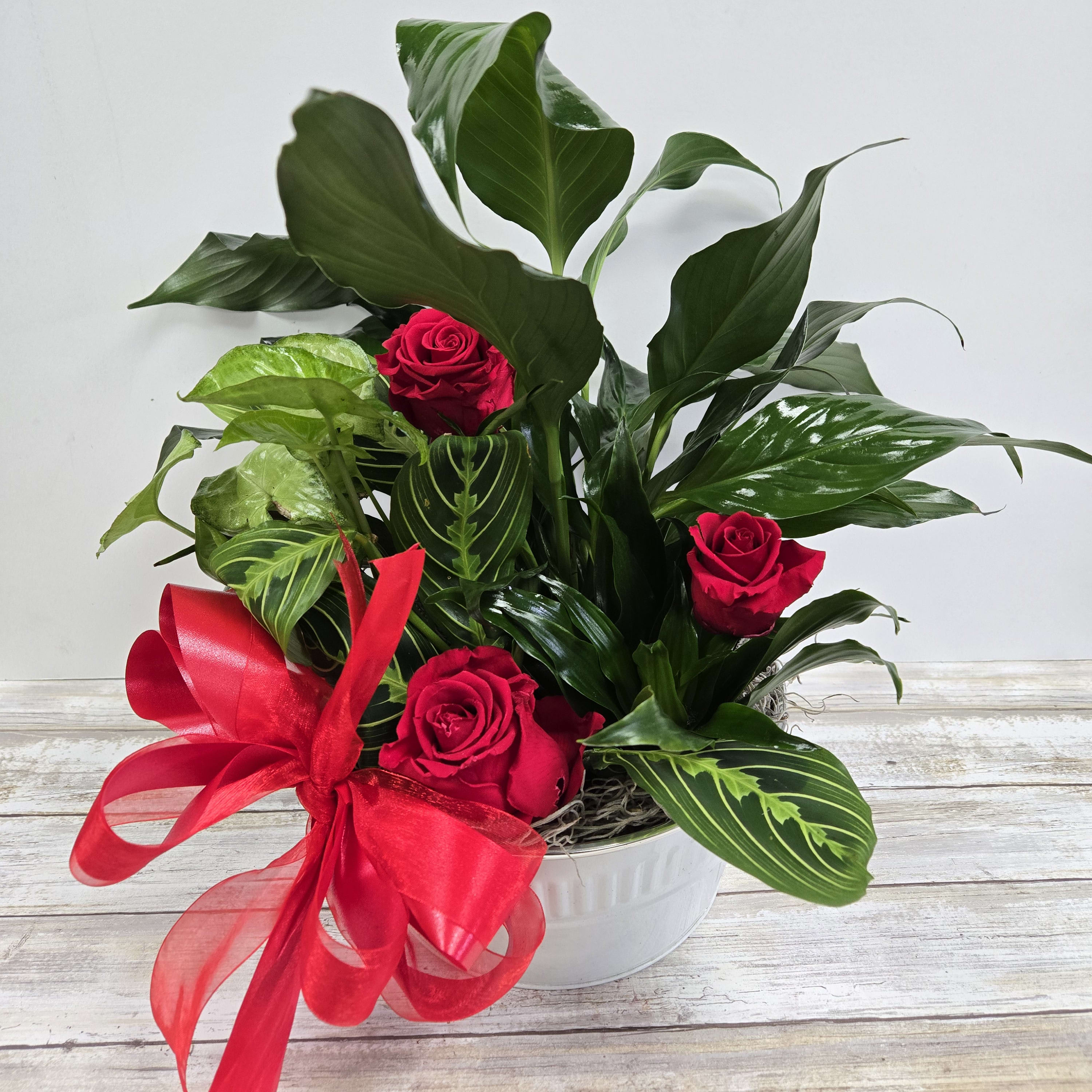 Sunny Dish Garden with Infinite Roses Flower Bouquet