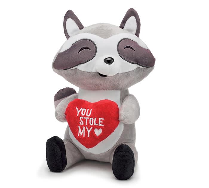 Raccoon You Stole my Heart Plushie