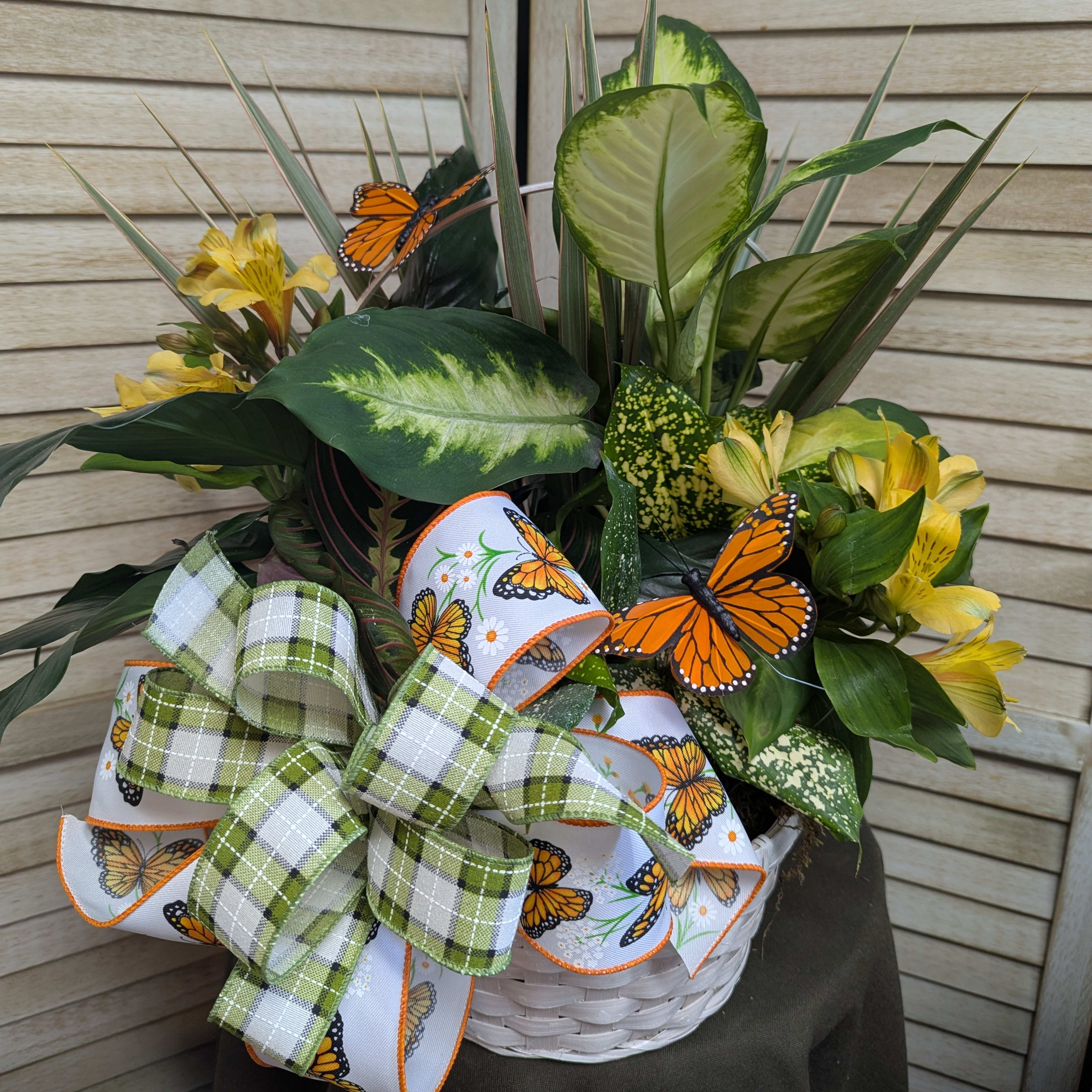 Butterfly Dish Garden