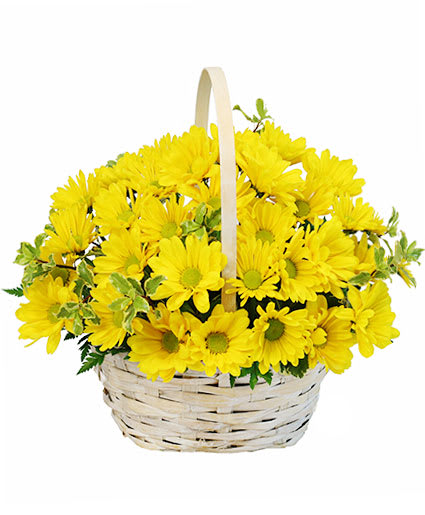 DELIGHTFUL SMILES BASKET OF DAISIES