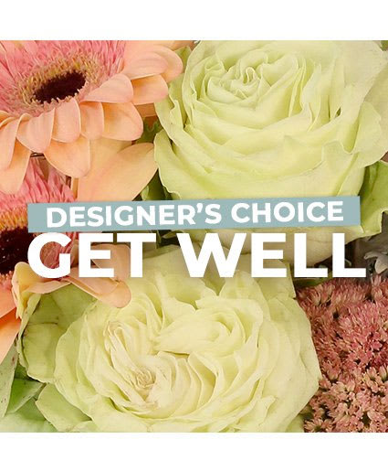 GET WELL FLORALS DESIGNER'S CHOICE